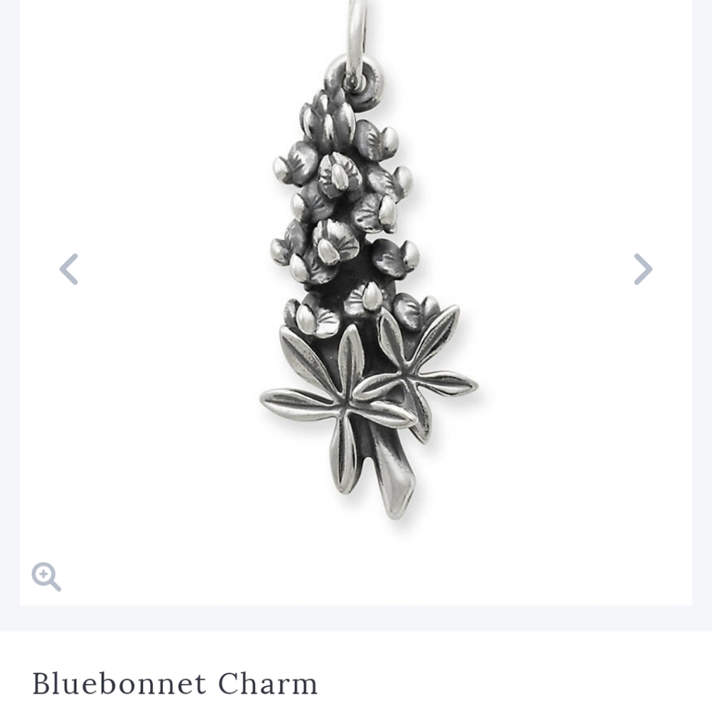 Bluebonnet charm